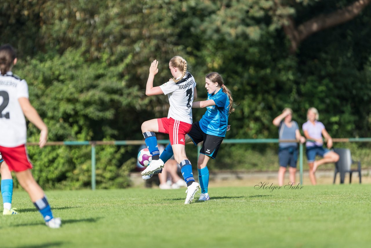 Bild 207 - wBJ VfL Pinneberg - Hamburger SV 2 : Ergebnis: 1:3